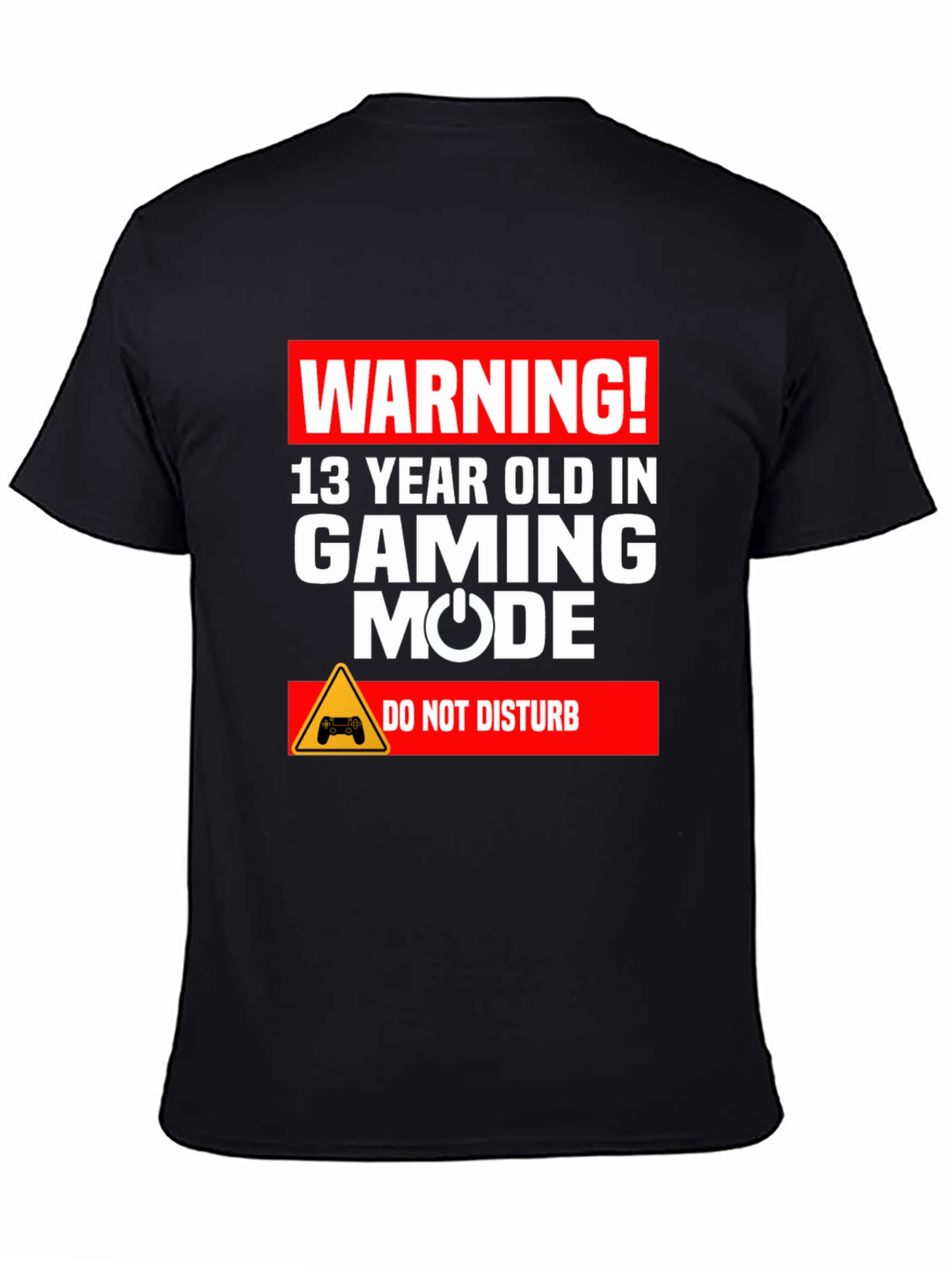 Warning 13 Year Old In Gaming Mode T-Shirt