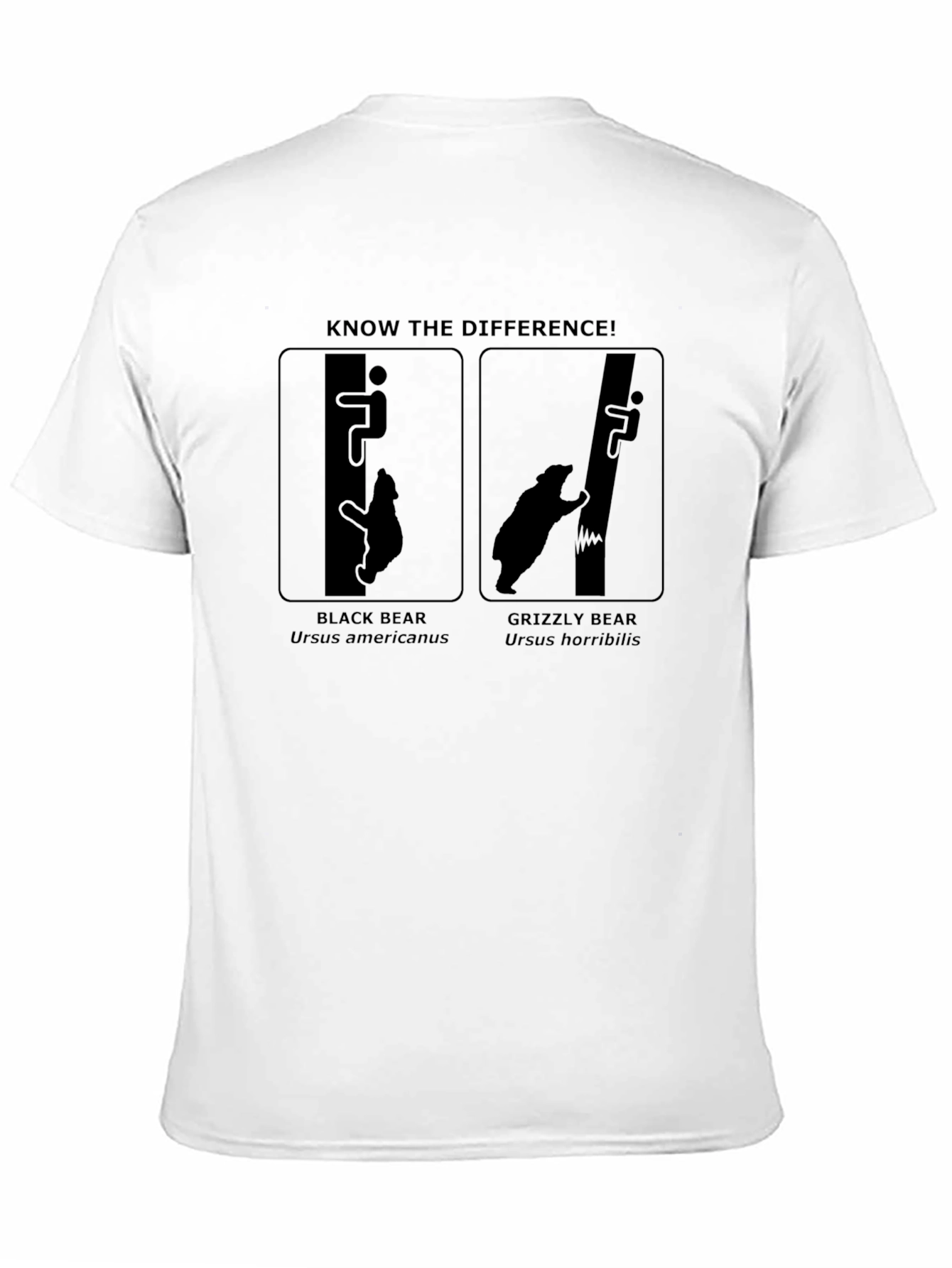 Know the Difference Bear Graphic Tee