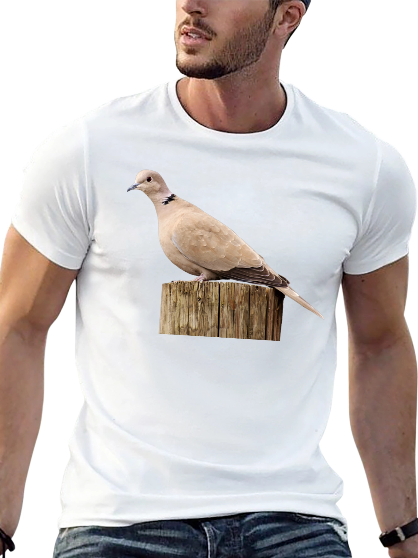 Dove on Wood Graphic Tee - Black