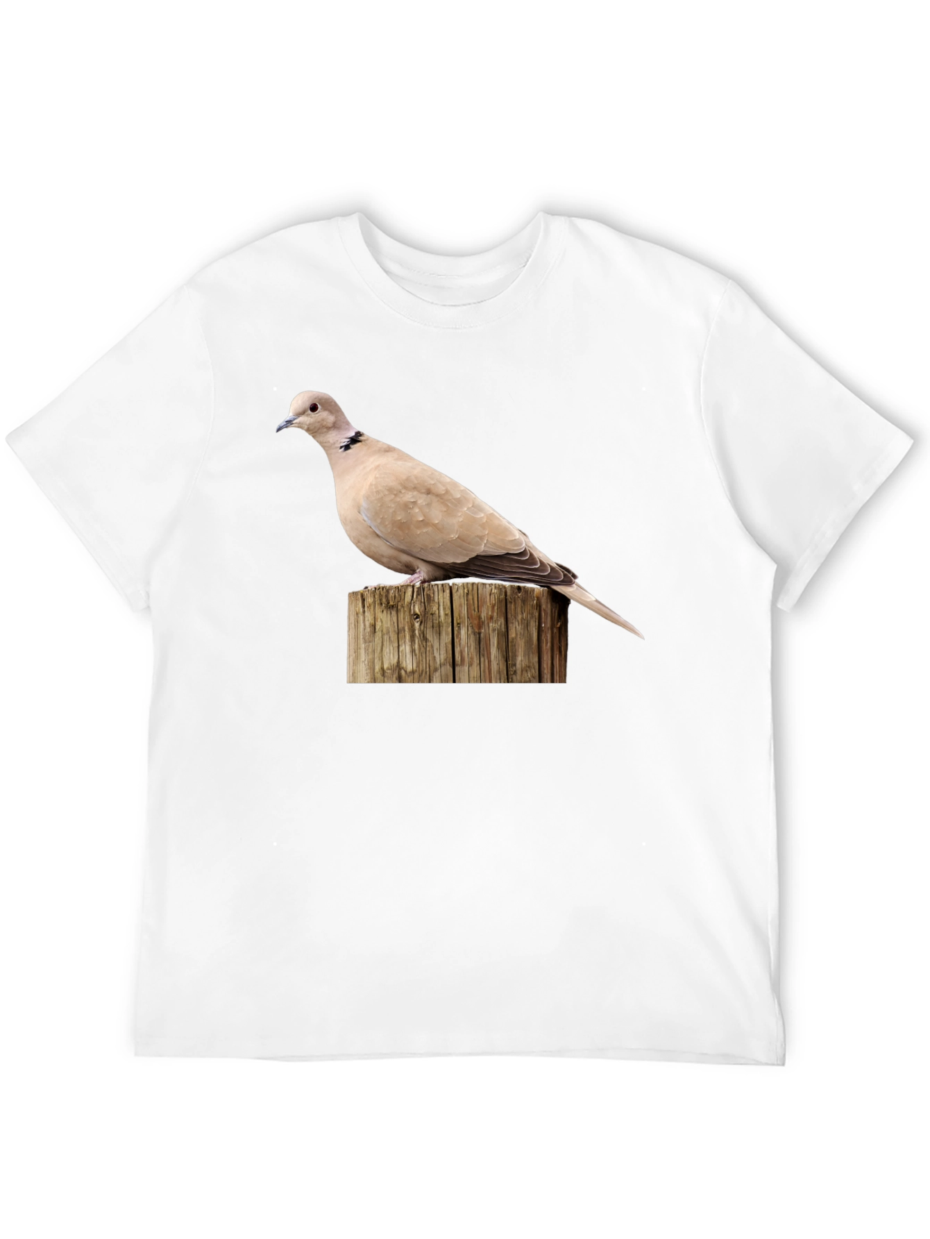 Dove on Wood Graphic Tee - Black