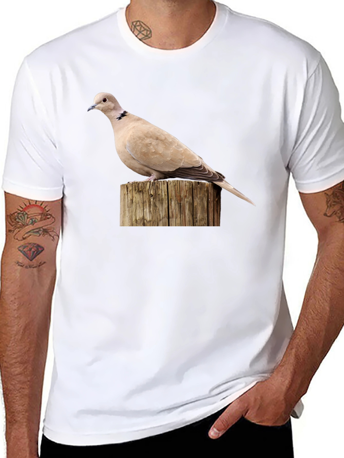 Dove on Wood Graphic Tee - Black