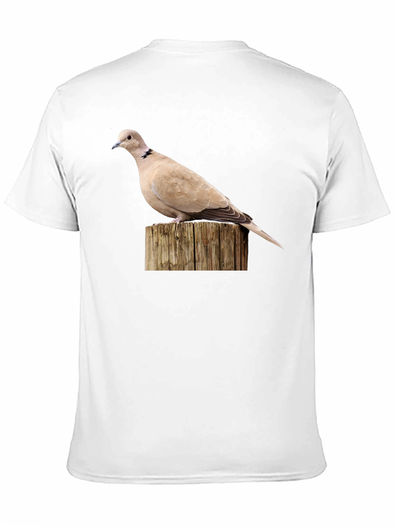 Dove on Wood Graphic Tee - Black