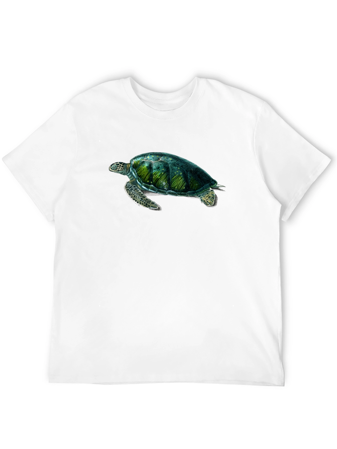 Sea Turtle Graphic Print Black T-Shirt