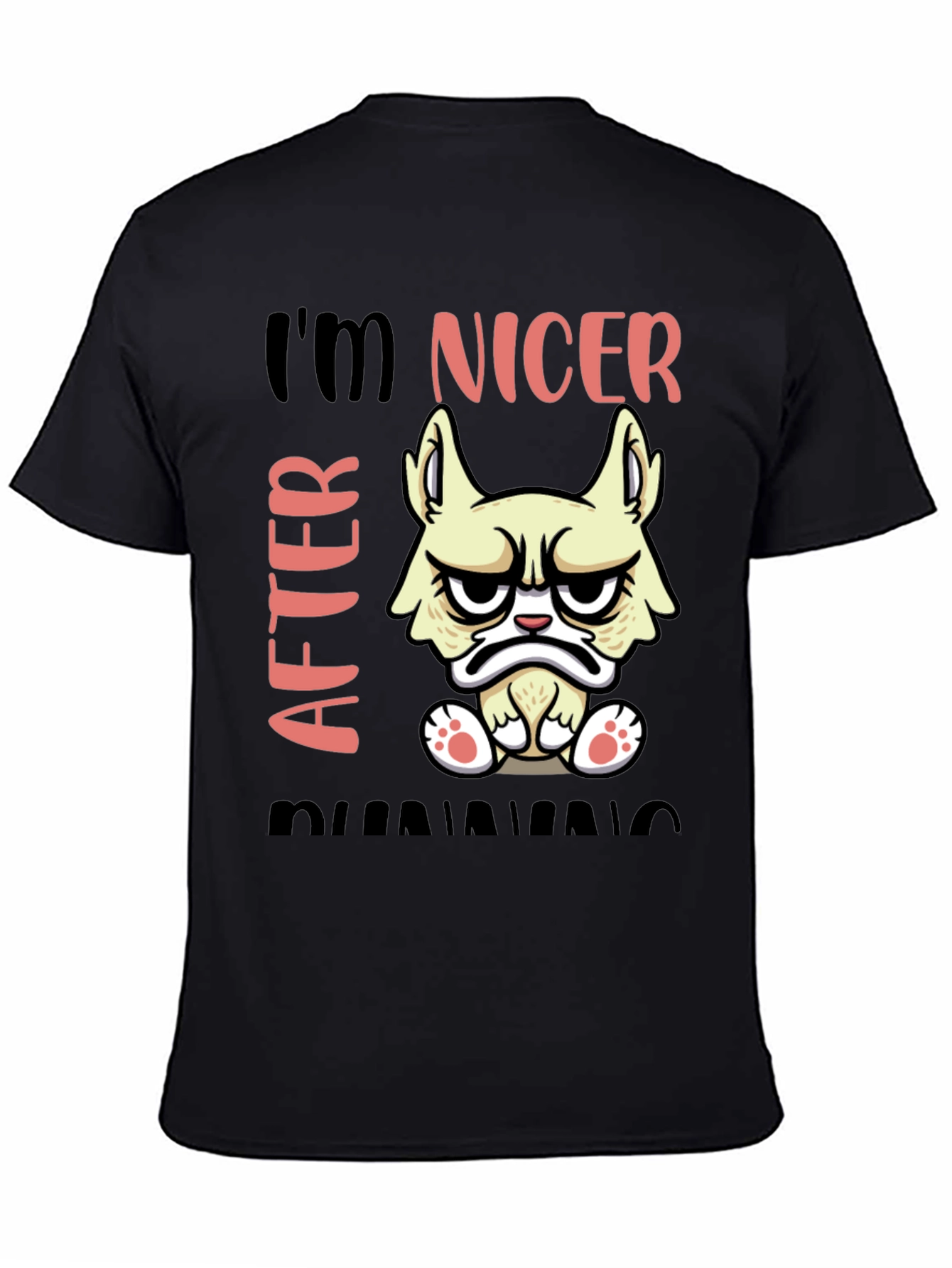 Funny Grumpy Cat T-Shirt - Im Nicer After Running