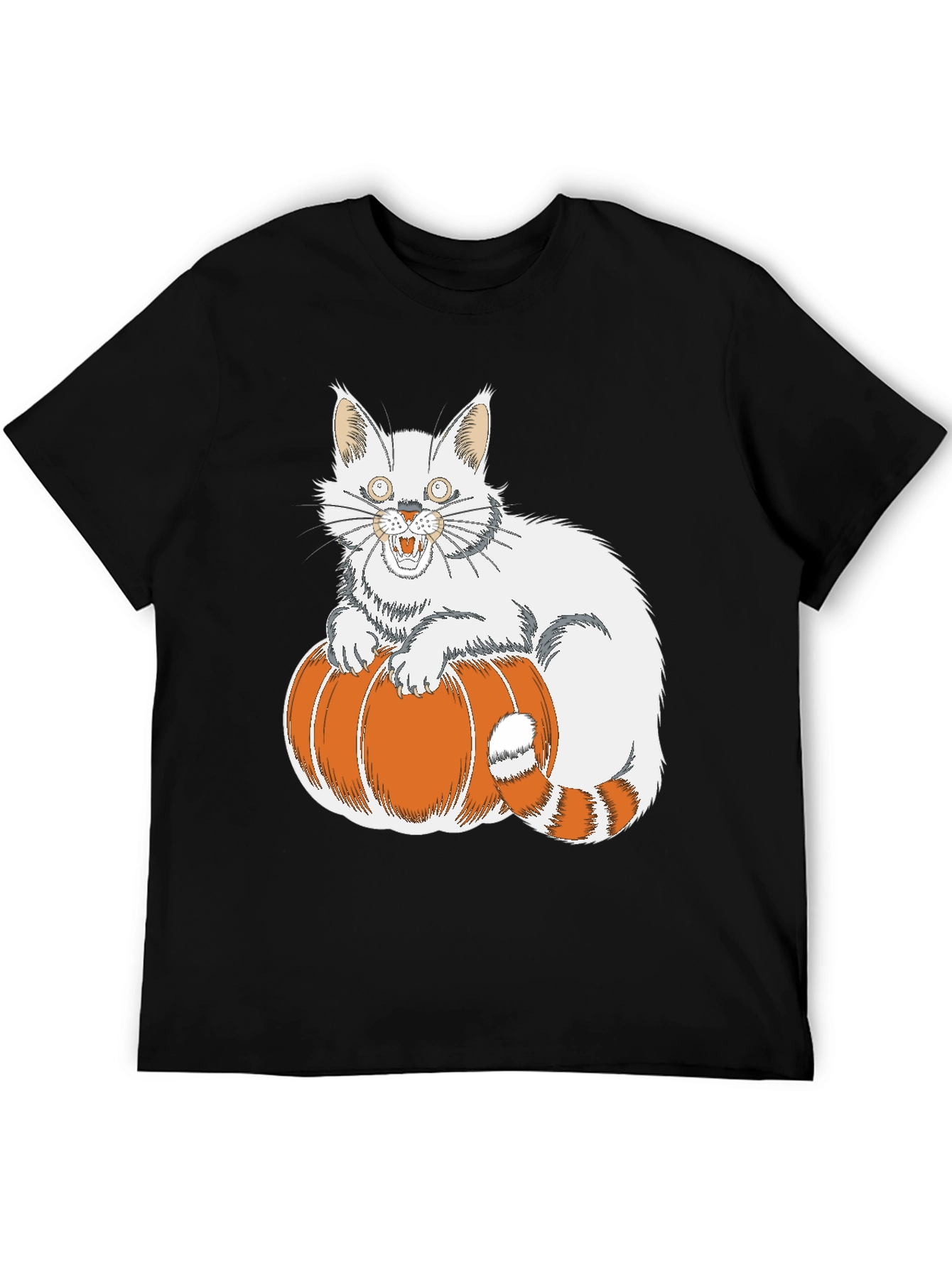 Halloween Cat on Pumpkin T-Shirt