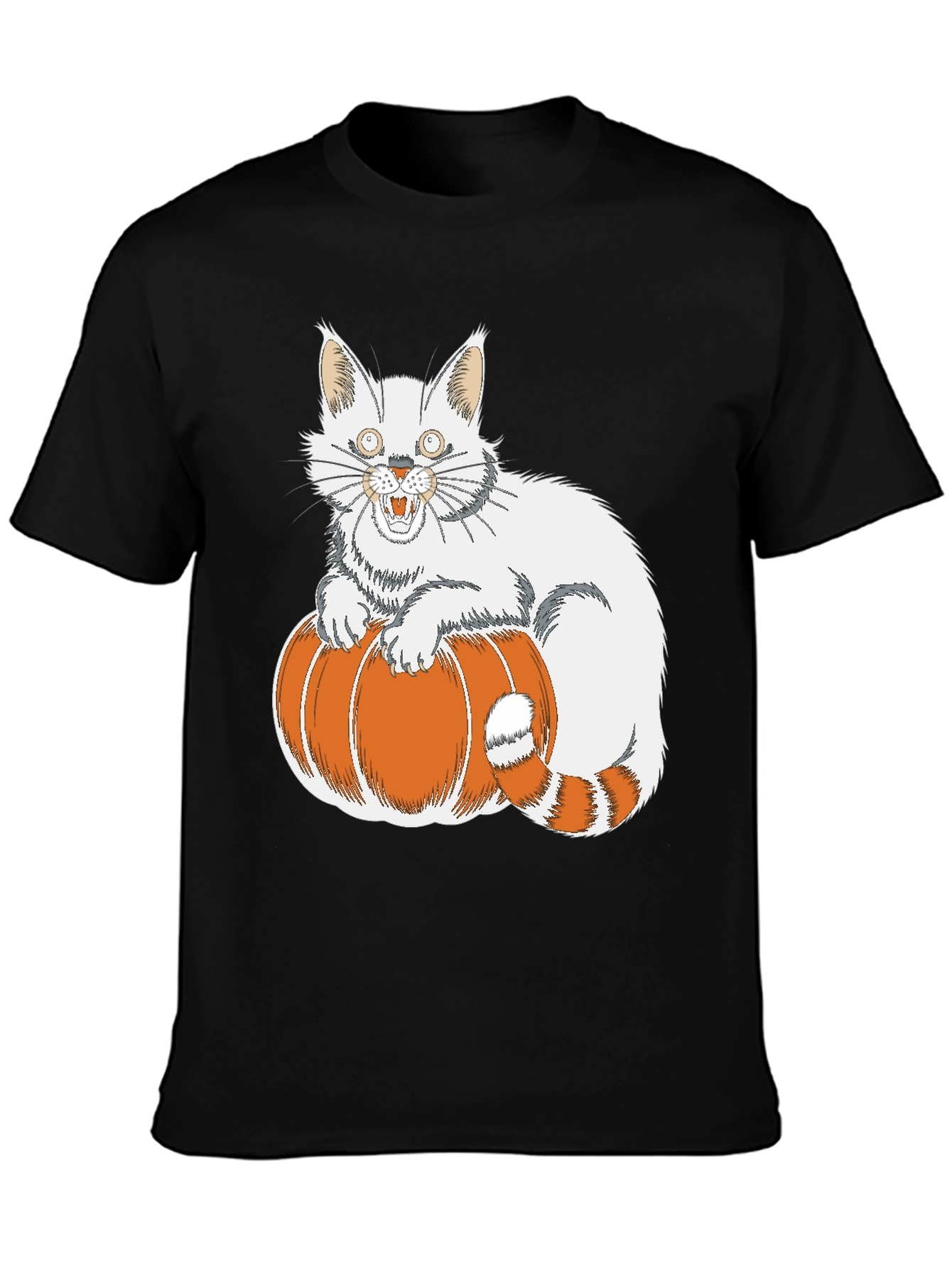 Halloween Cat on Pumpkin T-Shirt