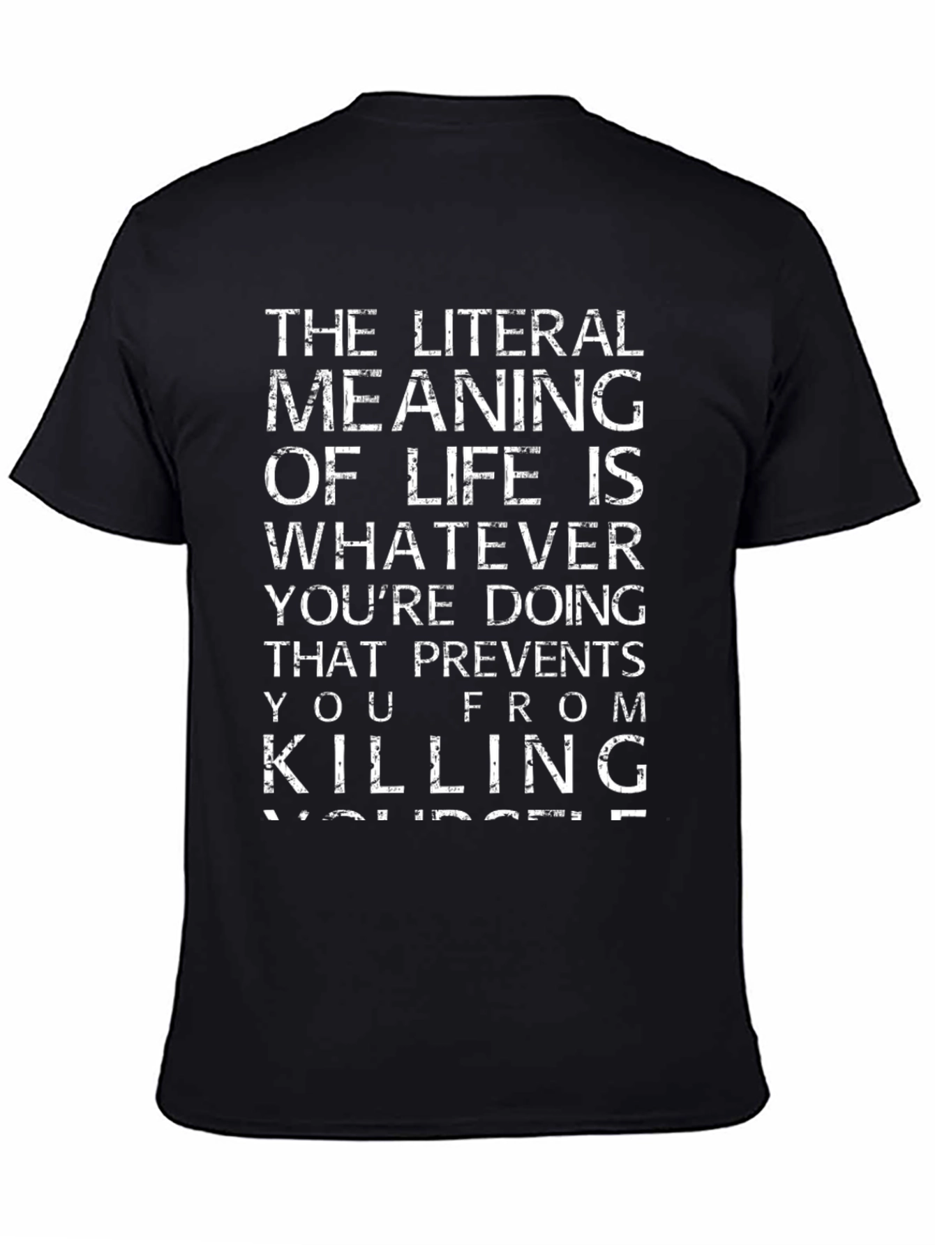The Literal Meaning of Life Graphic Tee