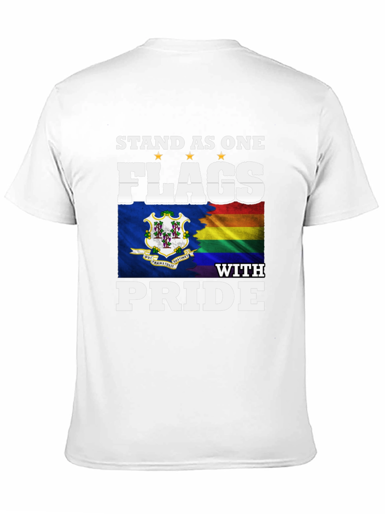 Stand as One Flags with Pride T-Shirt