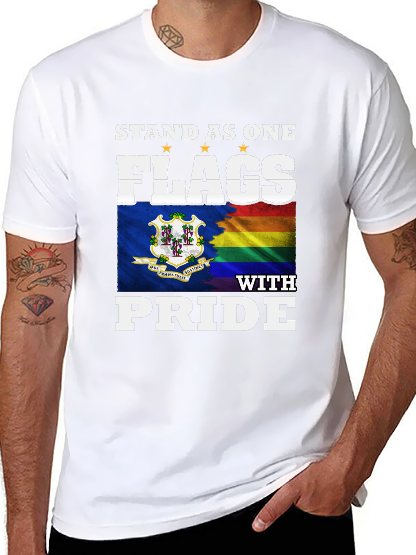 Stand as One Flags with Pride T-Shirt