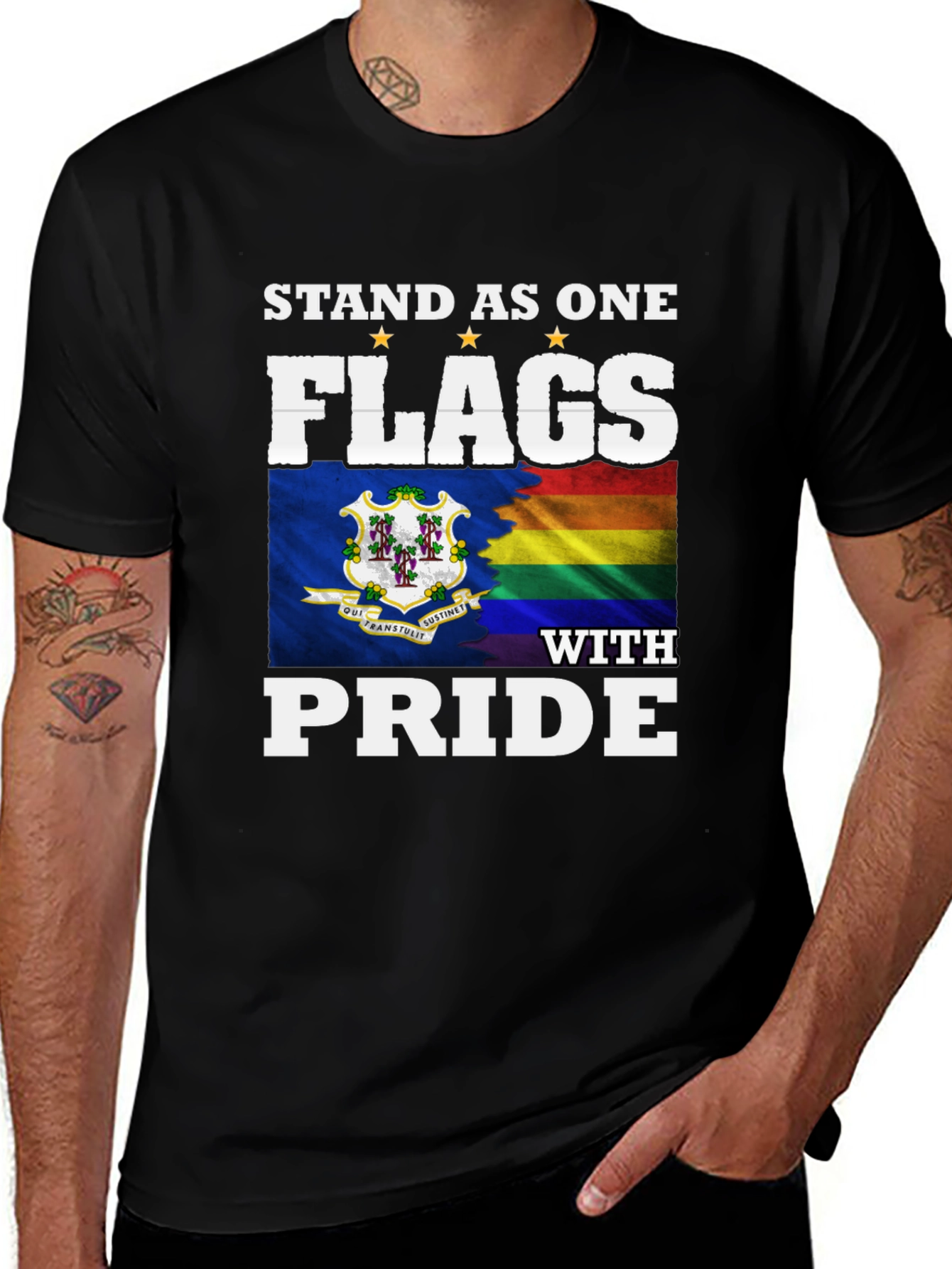 Stand as One Flags with Pride T-Shirt