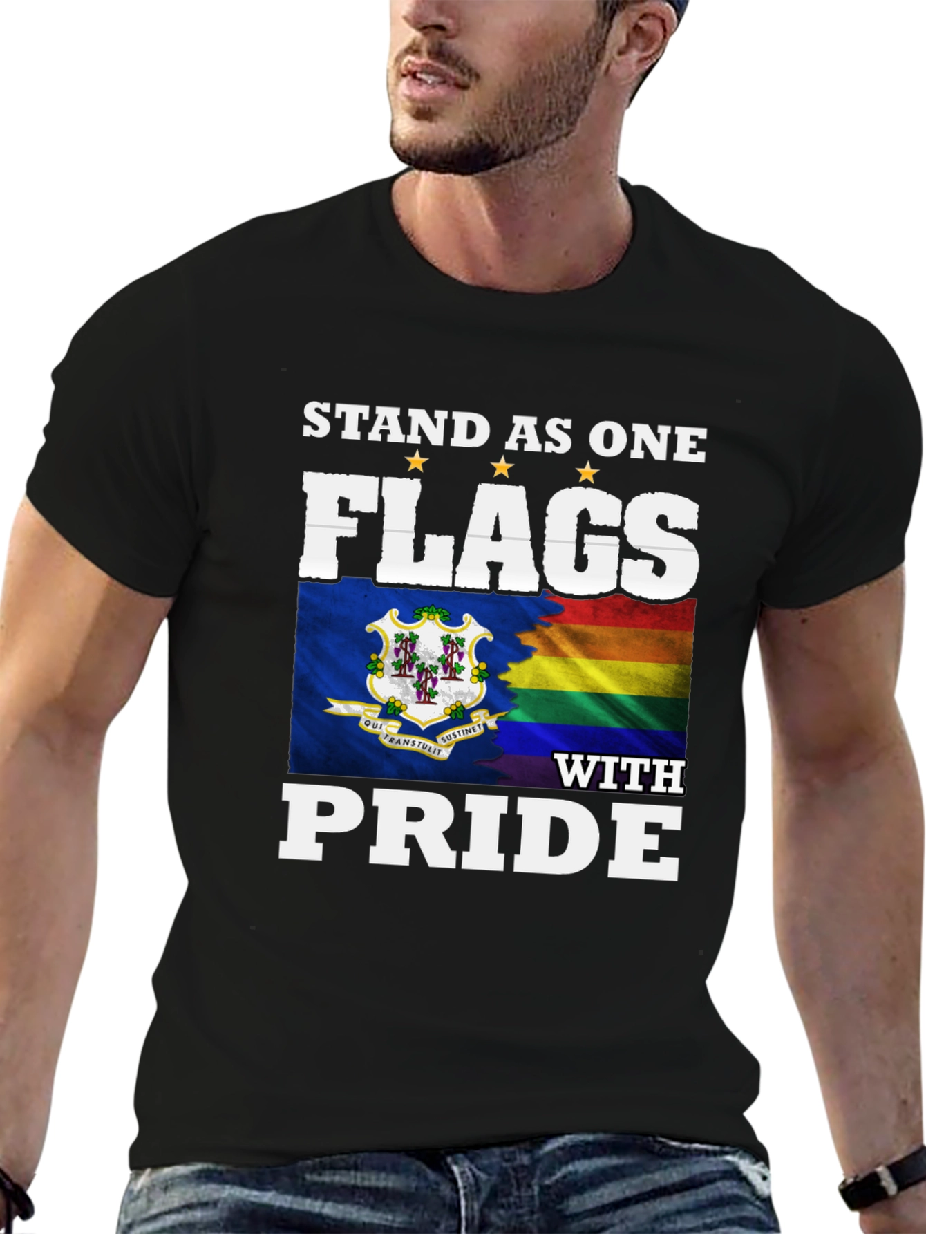 Stand as One Flags with Pride T-Shirt