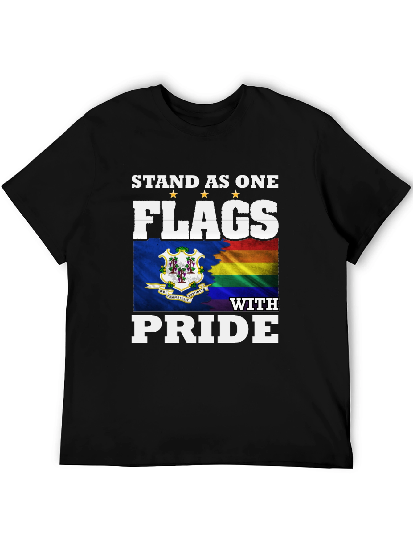 Stand as One Flags with Pride T-Shirt