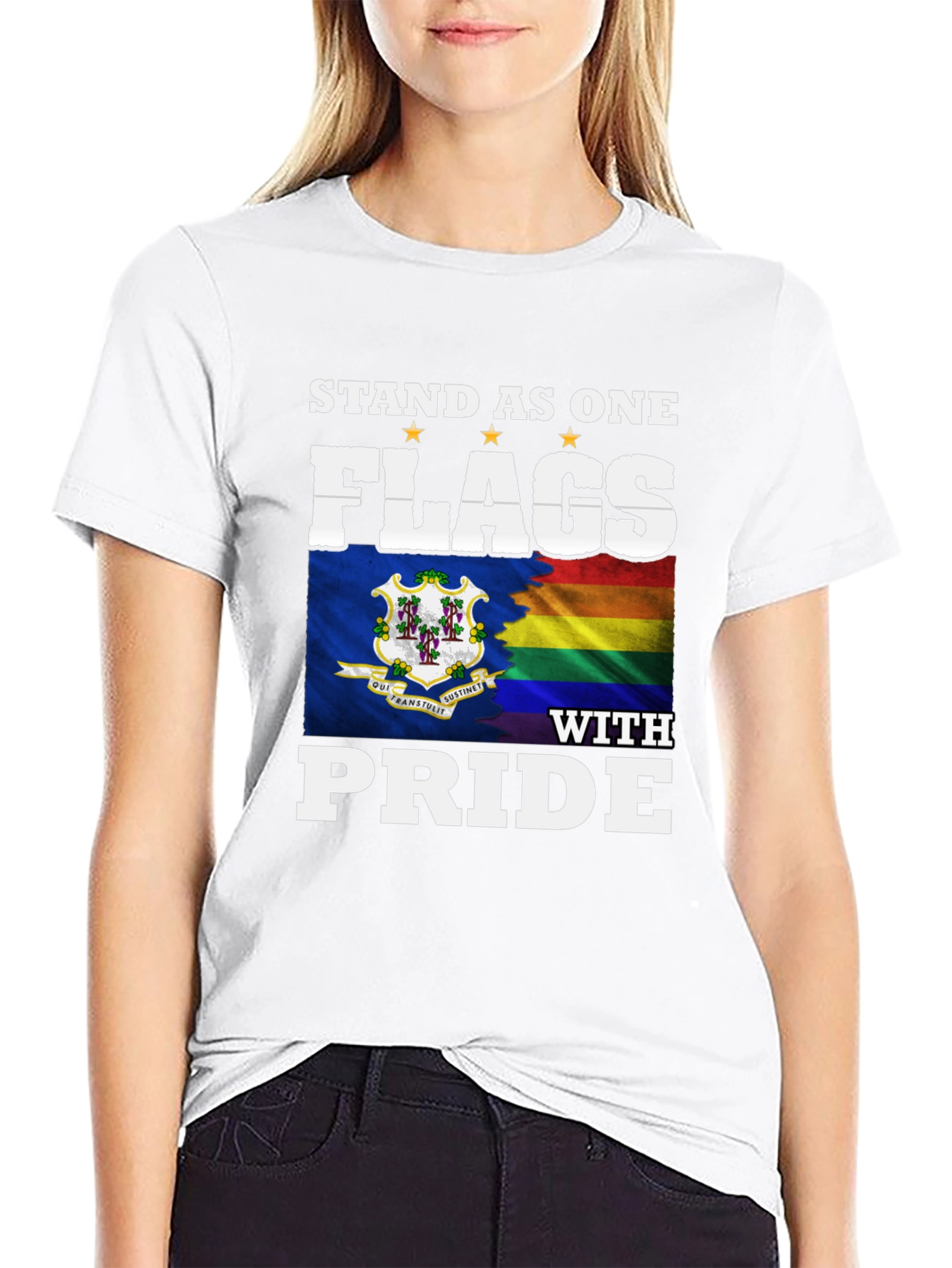 Stand as One Flags with Pride T-Shirt