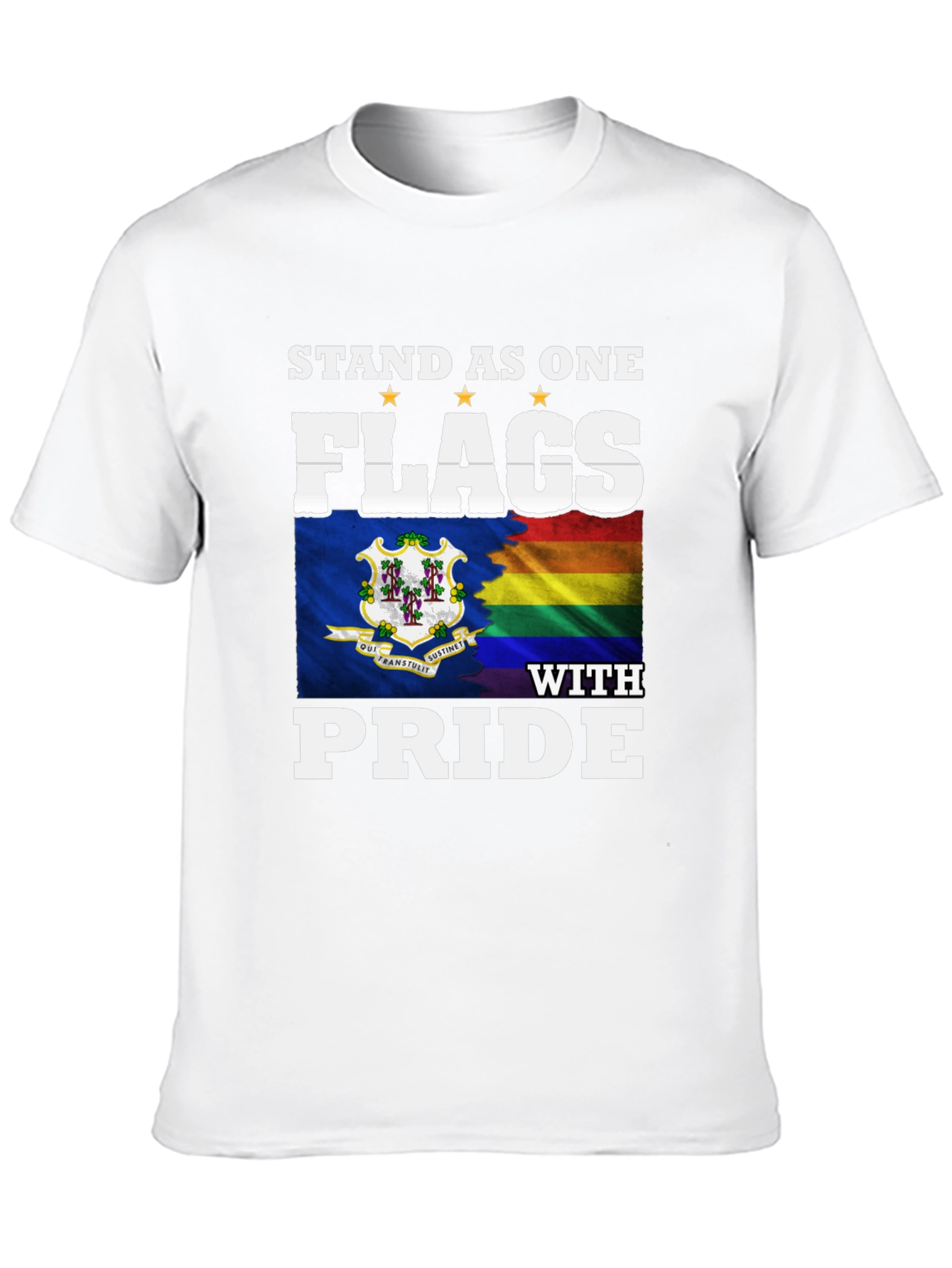 Stand as One Flags with Pride T-Shirt