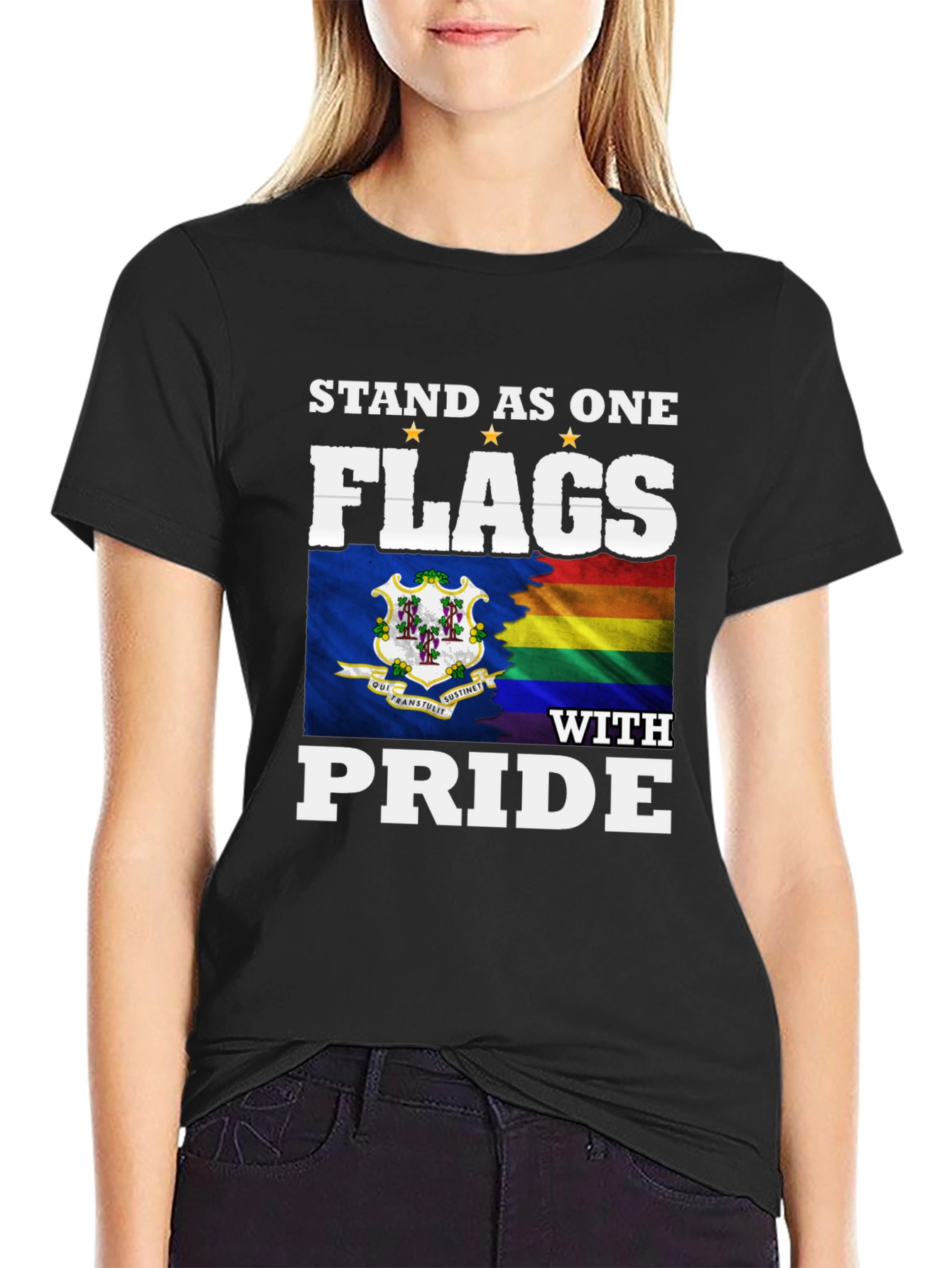 Stand as One Flags with Pride T-Shirt