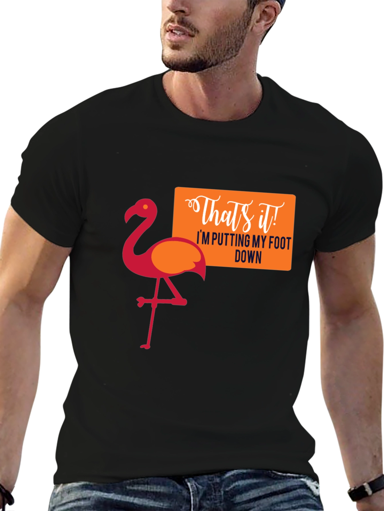 Flamingo Thats It! Graphic T-Shirt