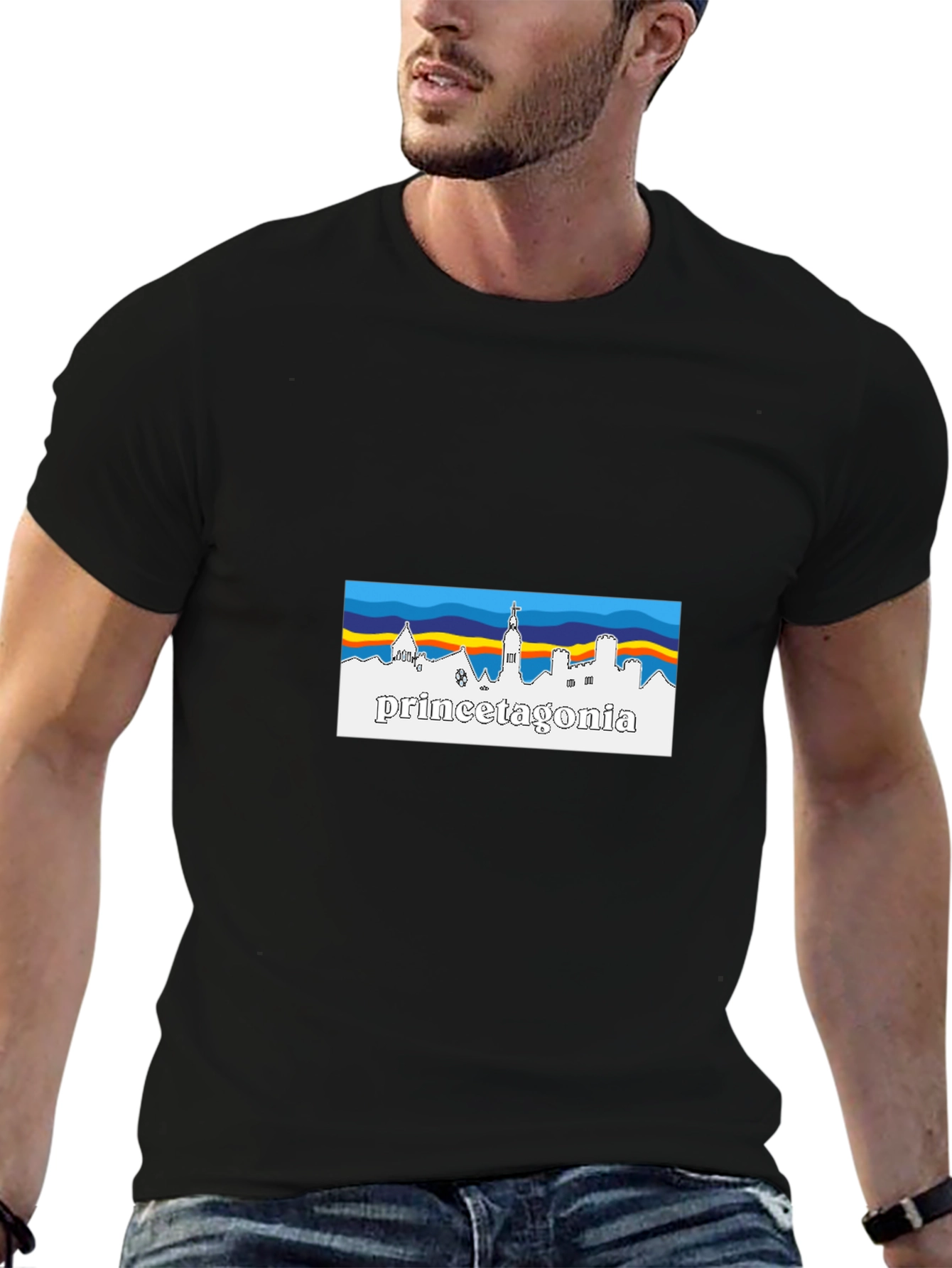 Princetagonia Skyline T-Shirt