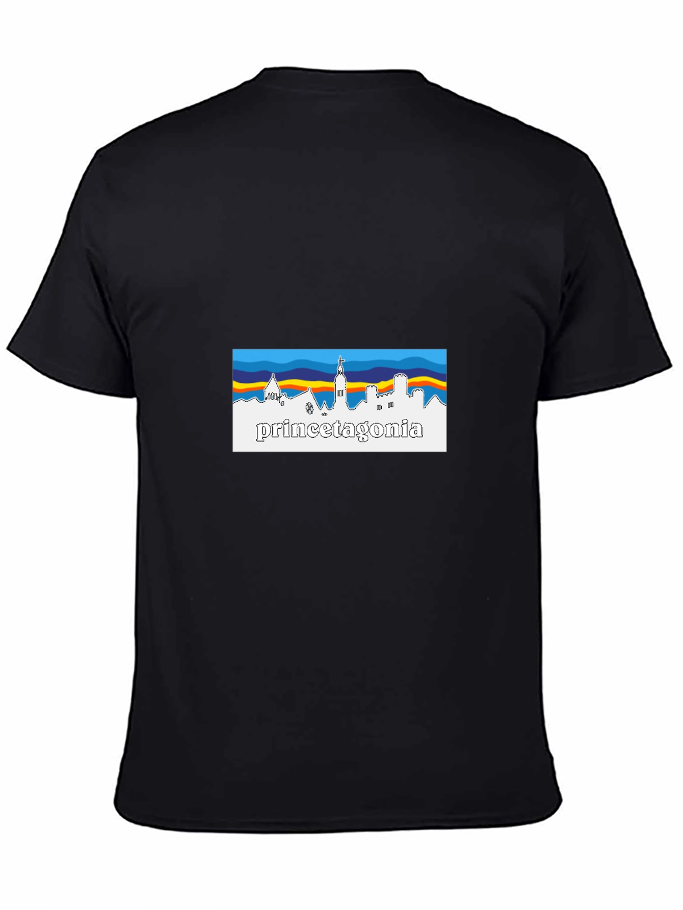 Princetagonia Skyline T-Shirt