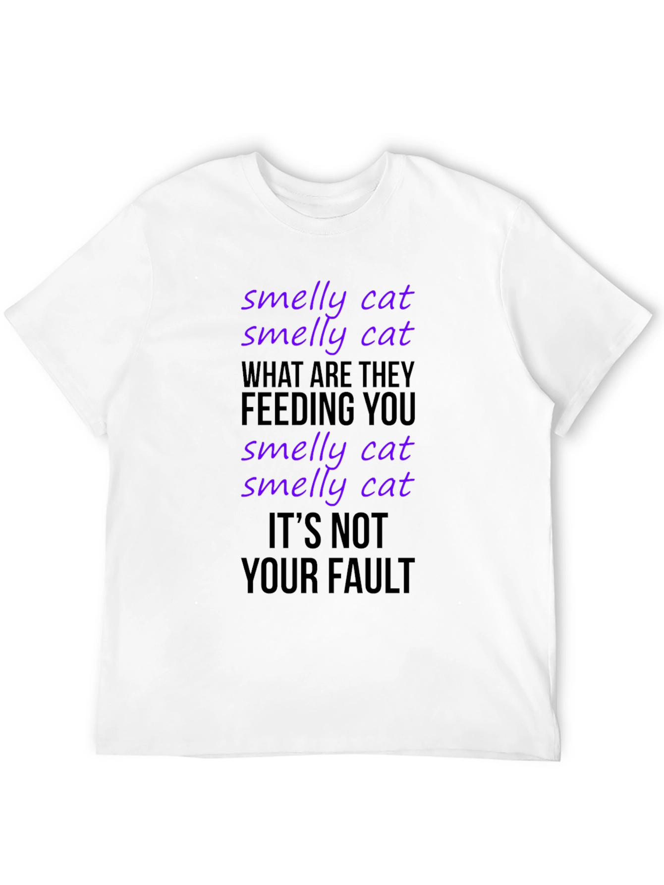 Smelly Cat T-Shirt: Friends TV Show Inspired Tee