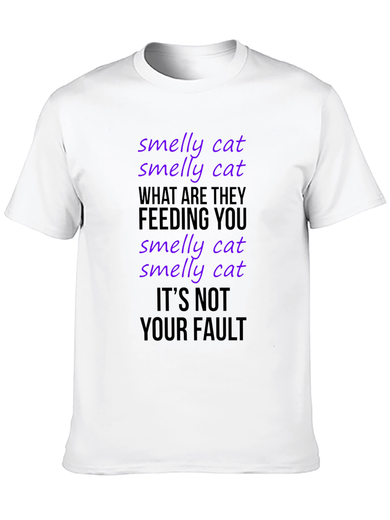 Smelly Cat T-Shirt: Friends TV Show Inspired Tee