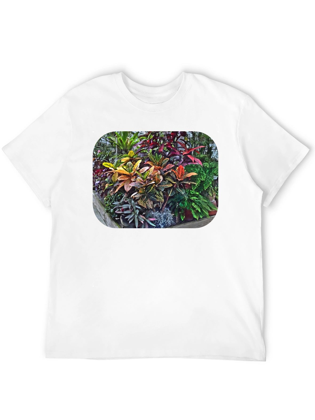 Tropical Plant Print T-Shirt - Black