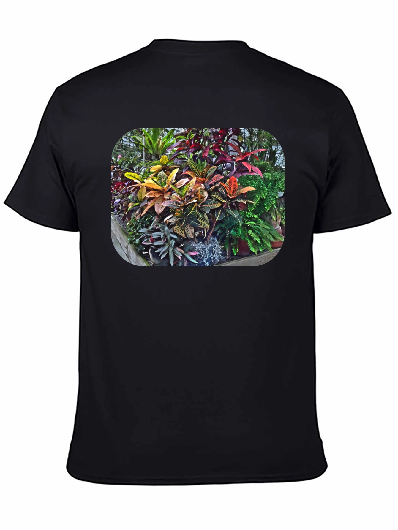 Tropical Plant Print T-Shirt - Black